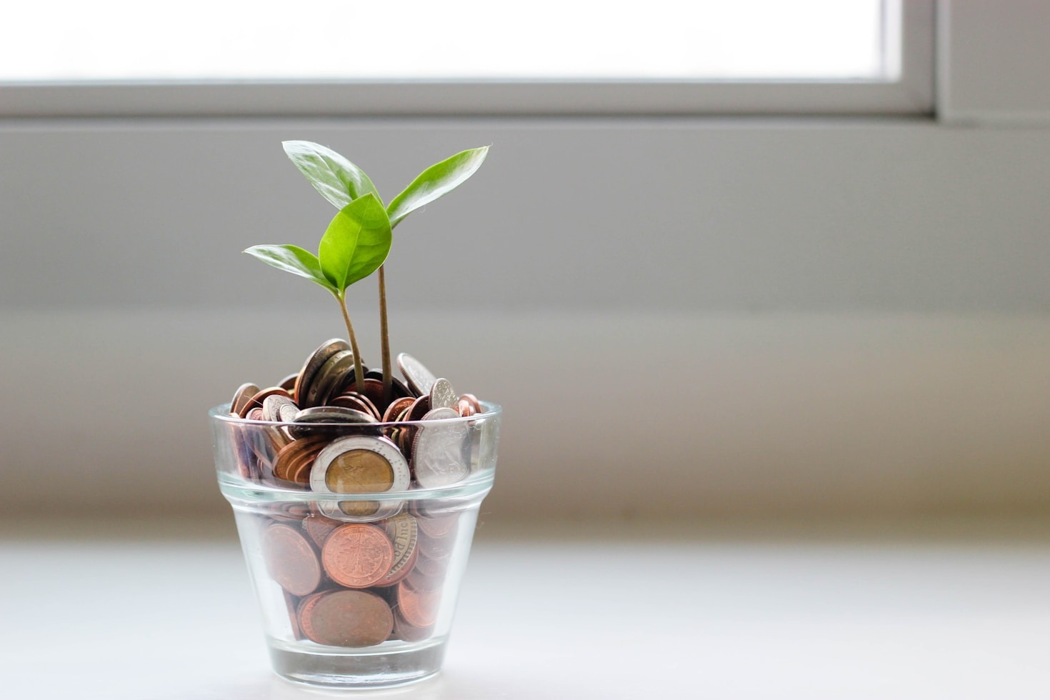 Como Alcançar Conforto Econômico com Simplicidade