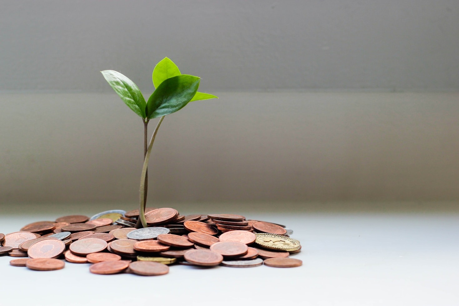 Estratégias que Transformam sua Vida Econômica